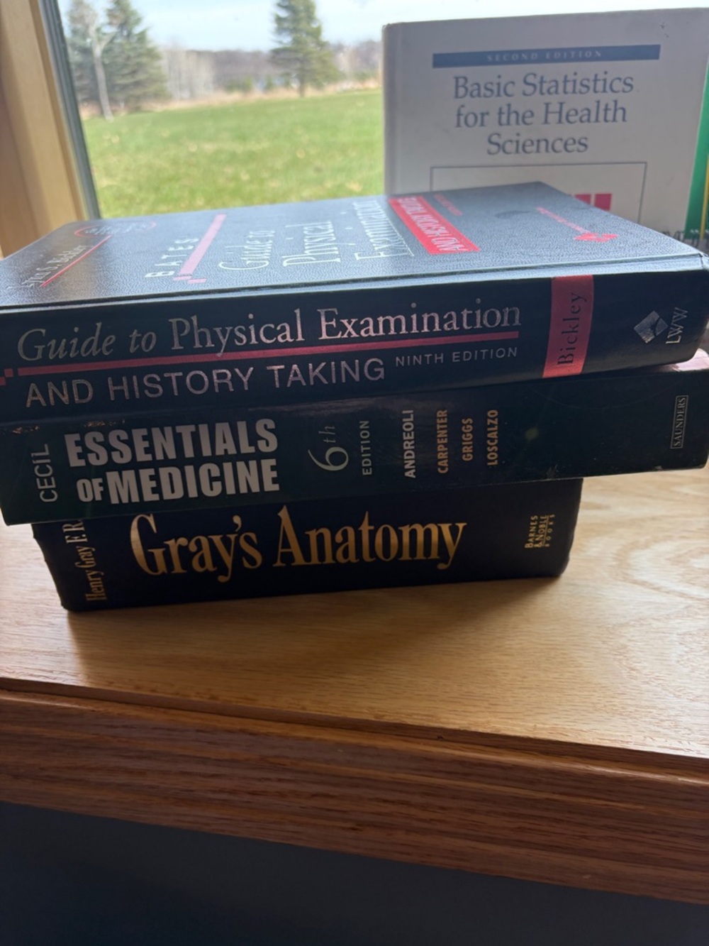 Advanced practice nursing books